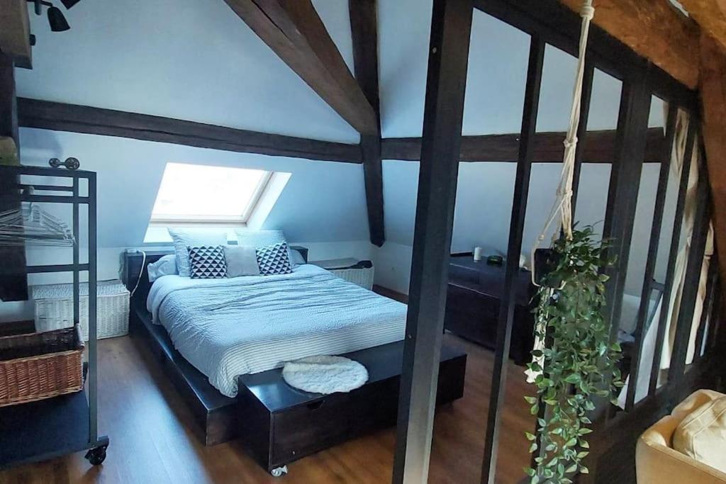 Appartement *New*Les Amandines Le Loft* Wifi à Allevard Extérieur photo